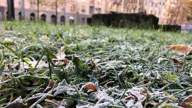 В Подмосковье похолодает до -4 градусов
Летнее тепло ?...