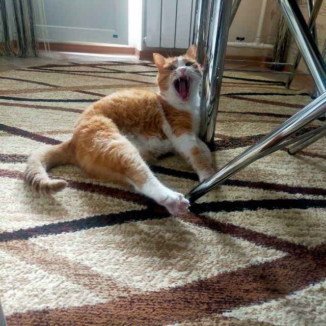 твоё лицо когда ушиб мизинчик об тумбочку
#егобезейше...