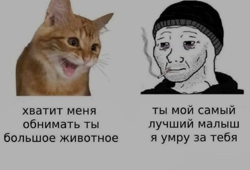 Ночная подборочка
Спать, режим