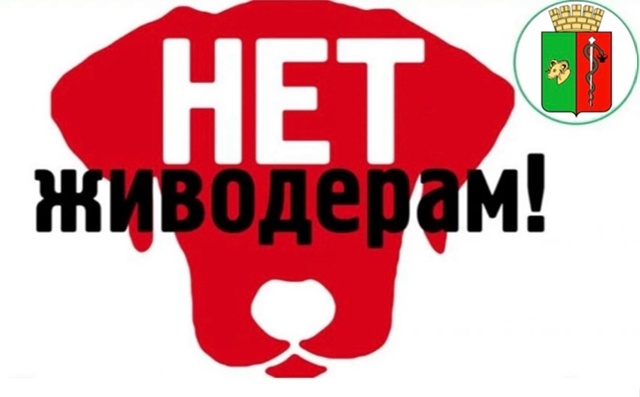 ТРЕВОГА‼
В ЕВПАТОРИИ ОРУДУЕТ САДИСТ❗
ЭТО ДОЛЖЕН ЗНАТ?...