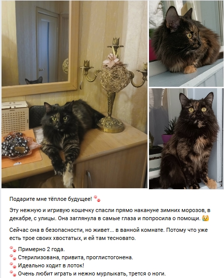 Пост добра. Распространите, пожалуйста.