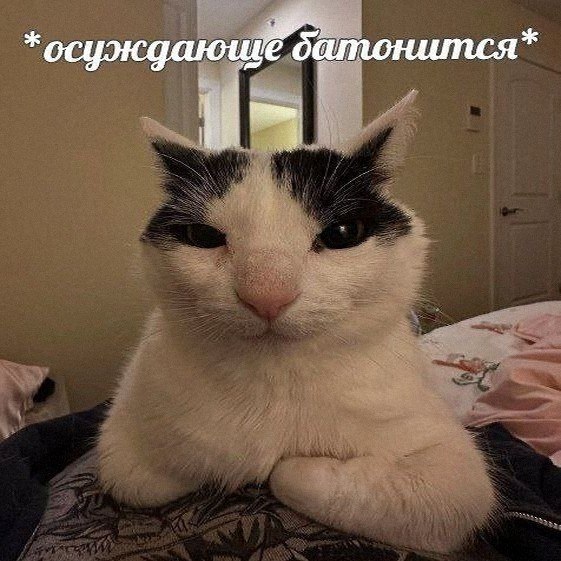 Утренняя подборочка