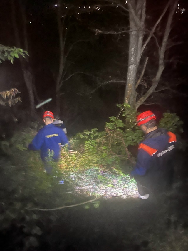 Туристы заблудились в осеннем лесу в Адлере
Вечером д?...