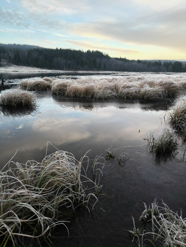 Замерло всё в ожидании зимы...
Фото: [id7677905|Анна Шейко]