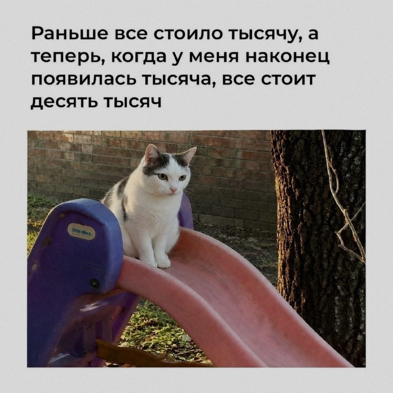 Ночная подборочка
Спать, режим