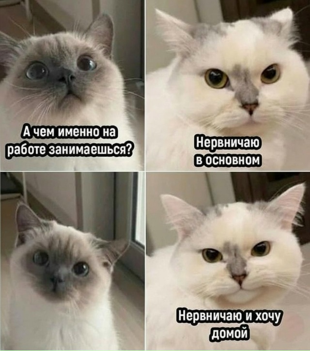 Просто понедельник на работе