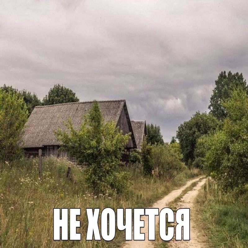 Утренняя подборочка