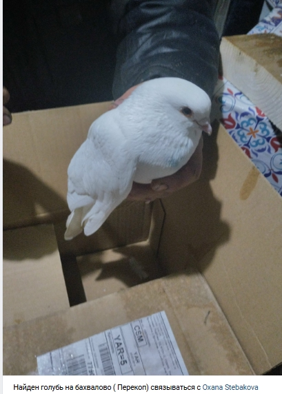 Пост добра. Распространите, пожалуйста.