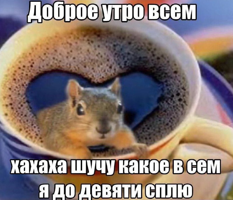 Утренняя подборочка