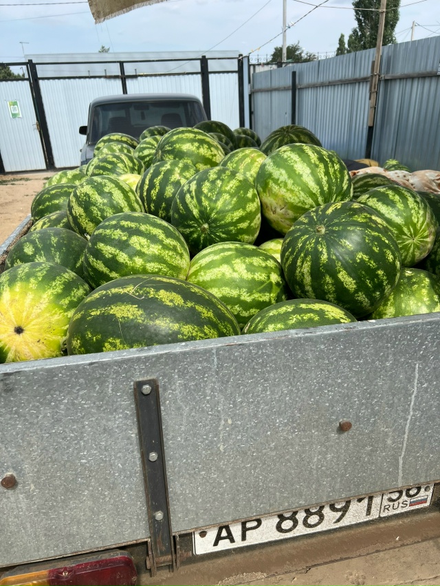 🍉🍉🍉2 сорта арбузов🍉🍉🍉
Стоимость — 20 руб / кг
Са?...