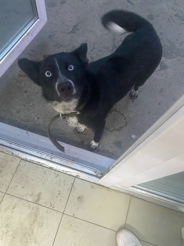 У 5-ки ЦРБ бегает