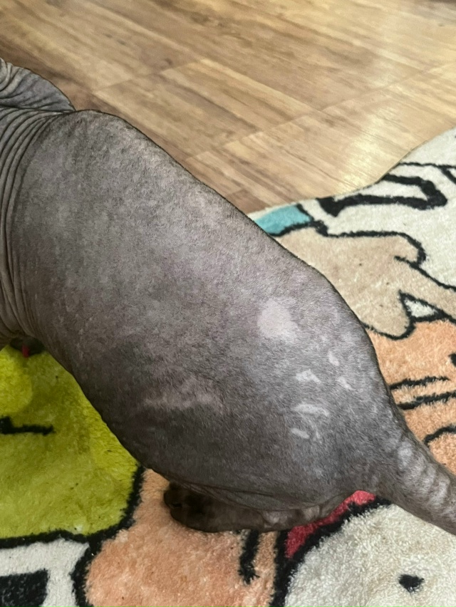 Здравствуйте, видела, что тут иногда выкладывают посты...