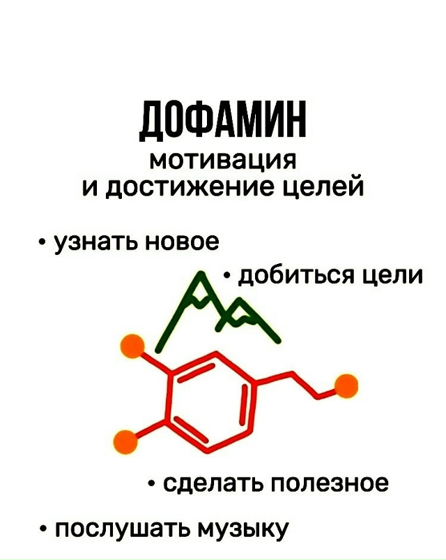 Химия мозга и настроение: