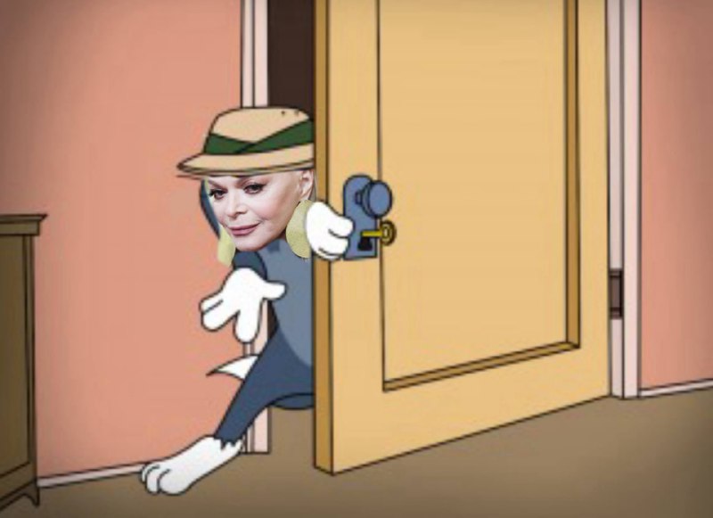 Лютейший кринж: Долину пригласили в Госдуму рассказать, как защититься от мошенников на «вторичке».