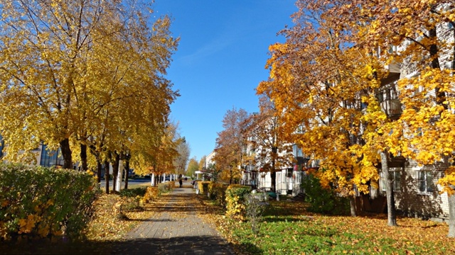 Золотая осень в родном Подпорожье