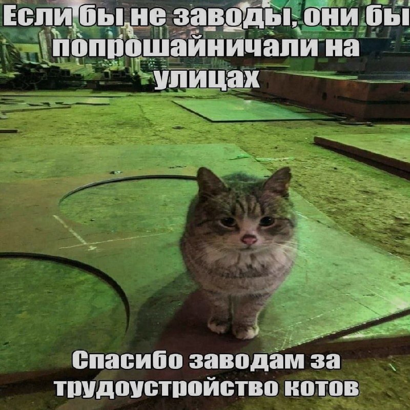 Ночная подборочка
Спать, режим