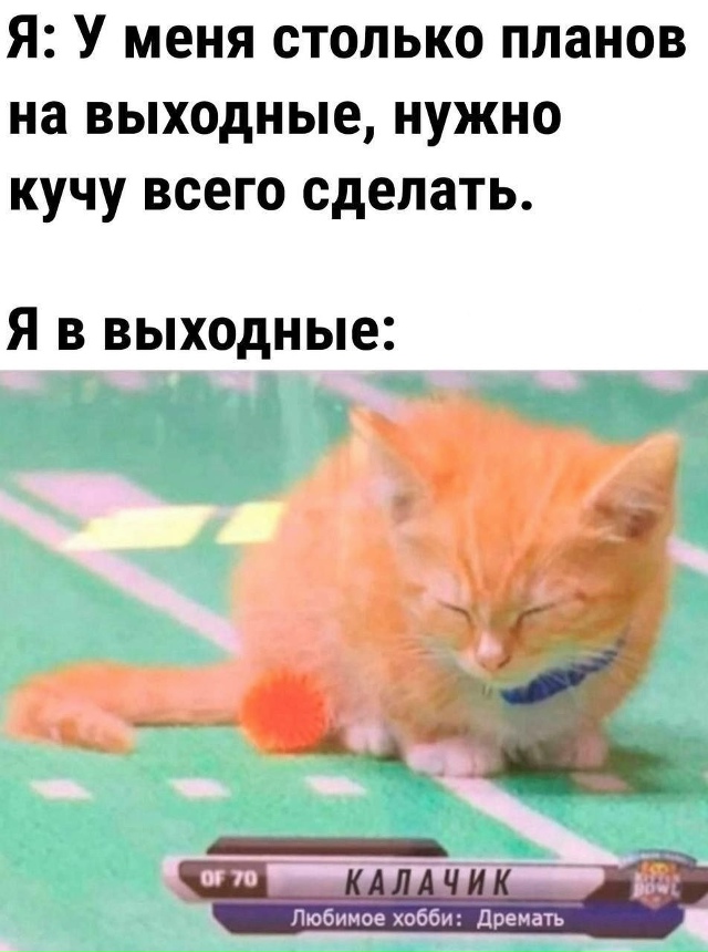 О планах на прохладные выходные
А Вы чем заняты?