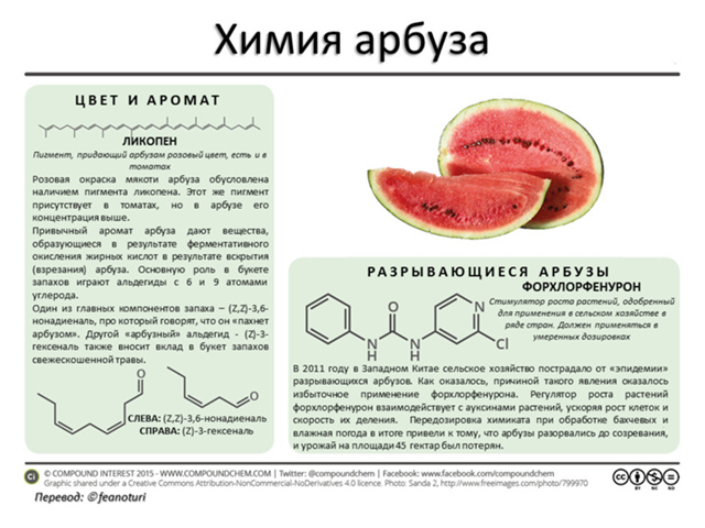В еде - одна химия! Ну и ещё немного физики и биологии :)
...