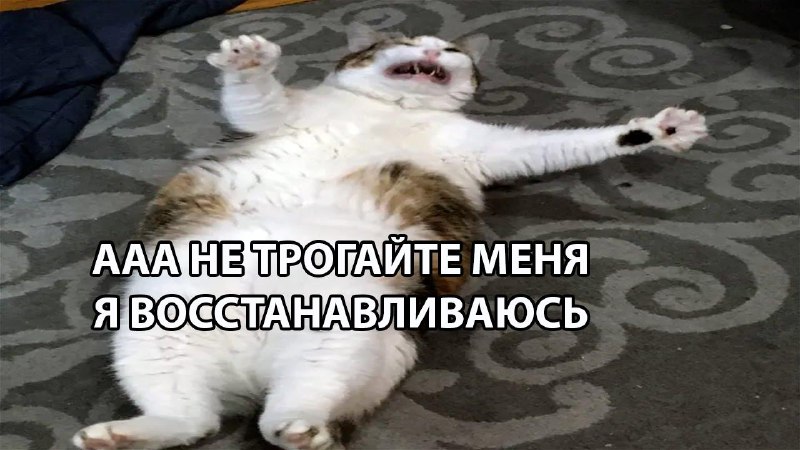 Мозгу требуется около двух недель, чтобы восстановиться после новогодних каникул.
Праздники дают б