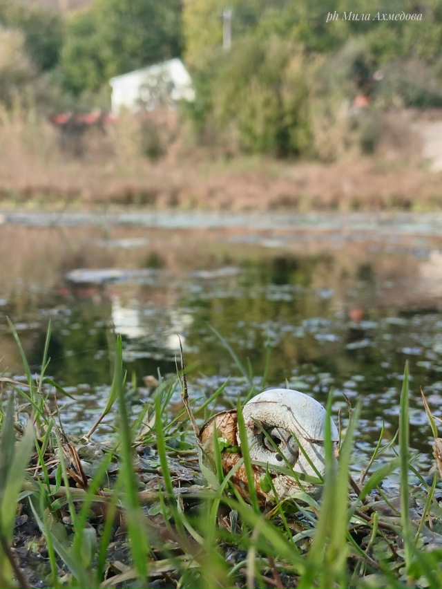 Наш Самарский край осенью - это настоящее волшебство...