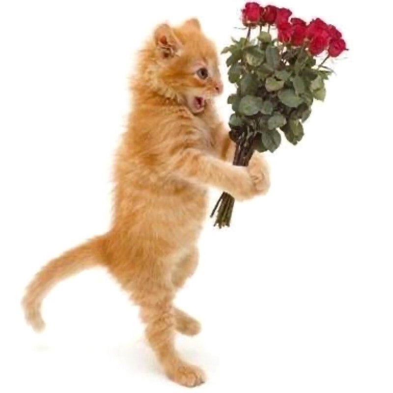 Парни сегодня типо: