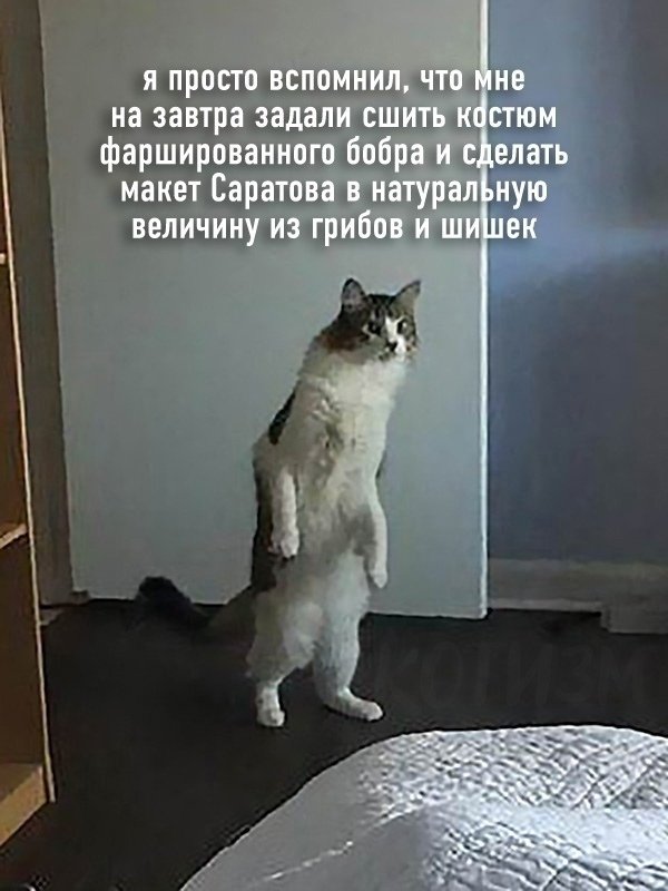 Все мамы поймут боль этой ситуации😂