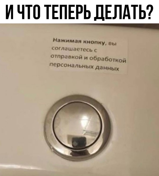 Они и до сюда добрались