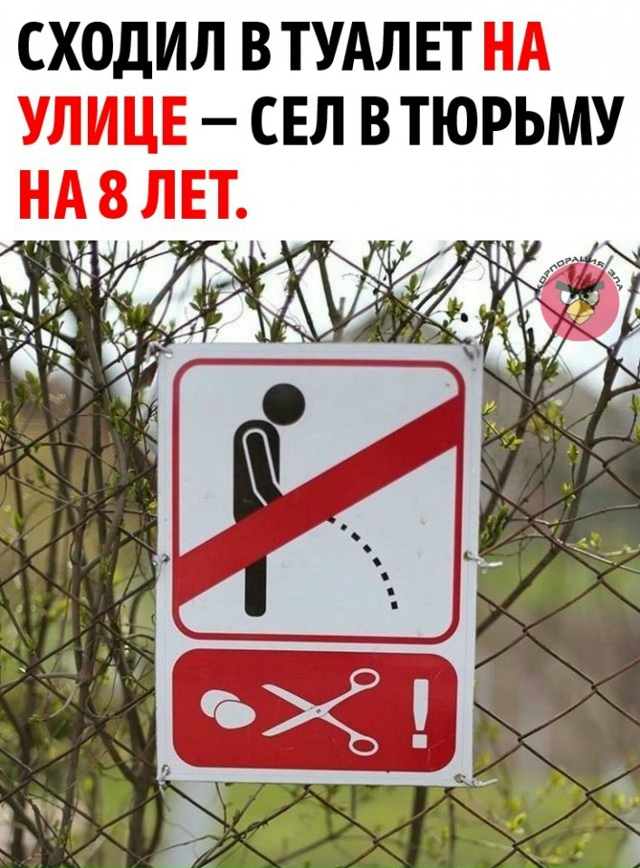 Юристы напомнили, что справление нужды во дворе, на ули...