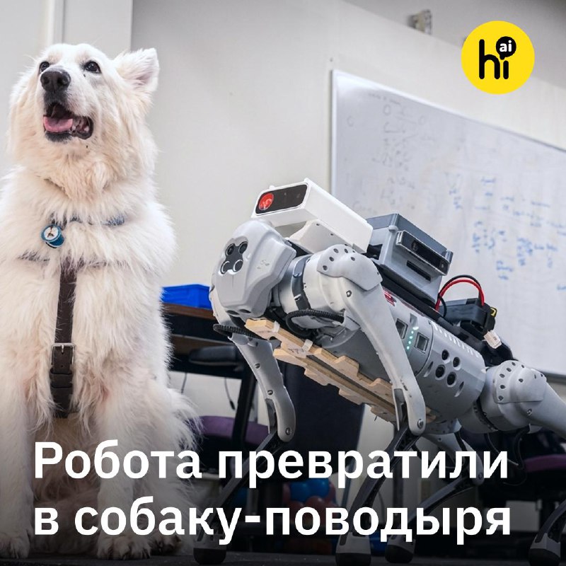 🦮 ИИ превращает робо-пса в собаку-поводыря
ИИ-модель GuideNav, разработанная инженерами из США и Юж