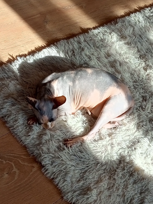 Наш первый пост)
Зайка, 6 лет, появилась почти год назад,...