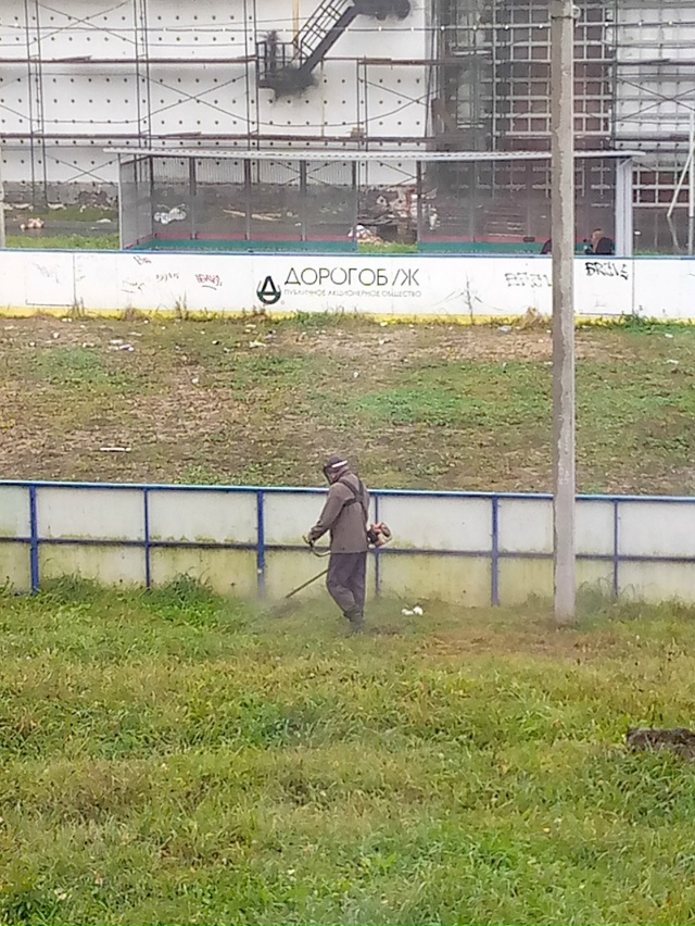 Два дня жужжит покоя не даёт и смысл не понятен.ч🤔🤔🙄