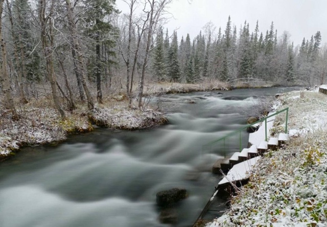 Полярно-альпийский ботанический сад укрылся снегом🌨?...