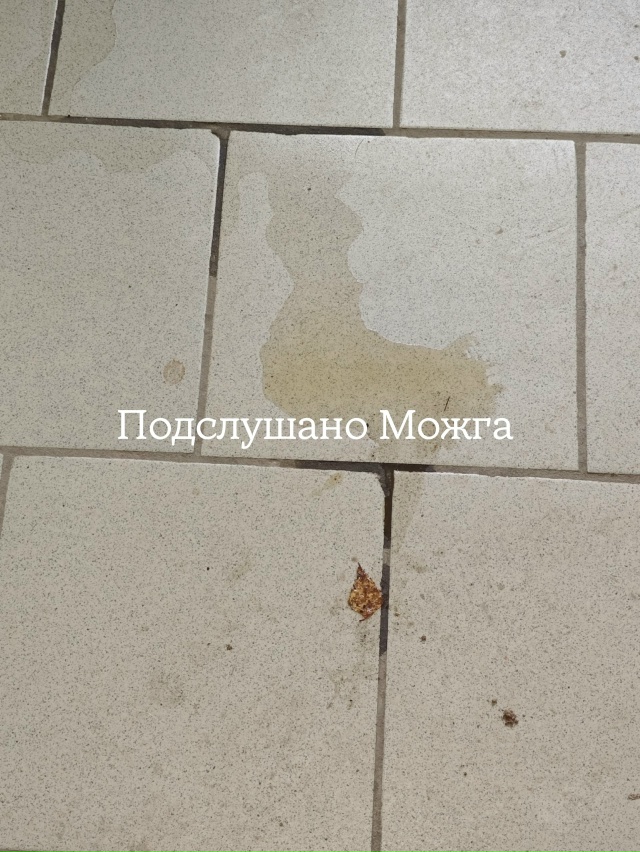‼️ Микрорайон Наговицынский дом 33, подъезд 4. Совесть ?...