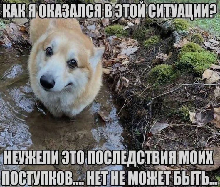 Ночная подборочка
Спать, режим