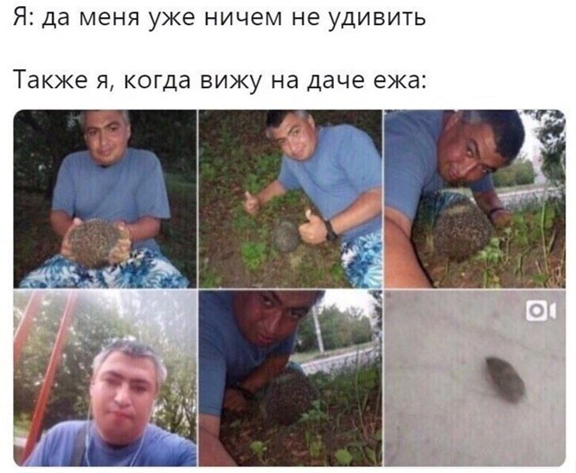 ЭТО ЁЖЖЖЖЖЖ