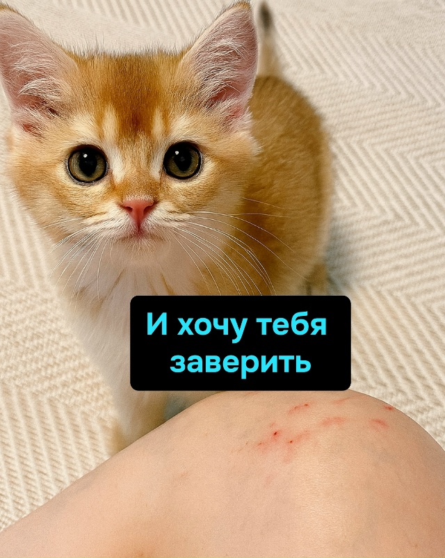 Это не привычка — это образ жизни. И ты в нём вечная жер...
