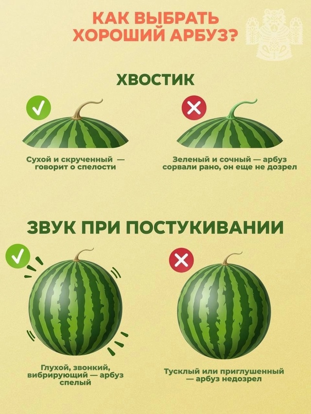 🍉 Официально начался сезон арбузов