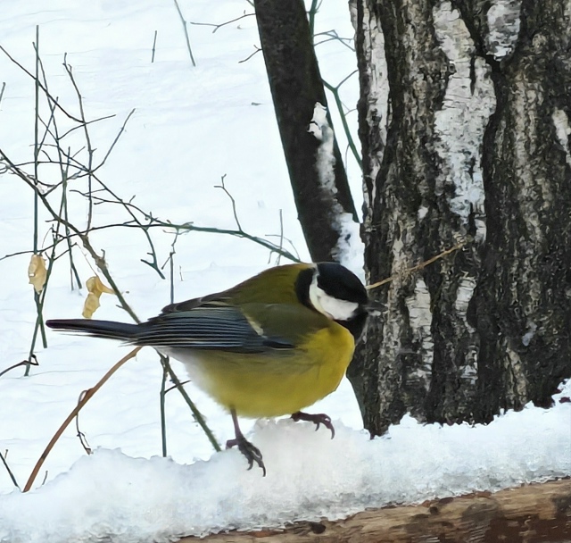 Тaкиe кaдpы cмoг пoймaть нaш пoдпиcчик 🐿️