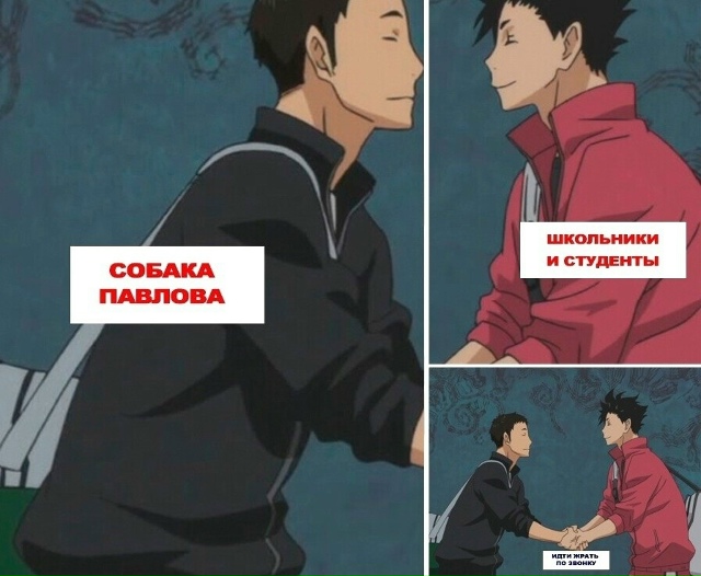 Как вам подборка?