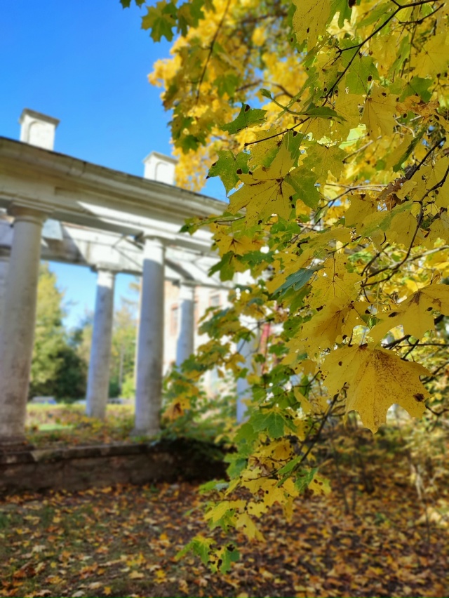 Пехра-Яковлевское🍁