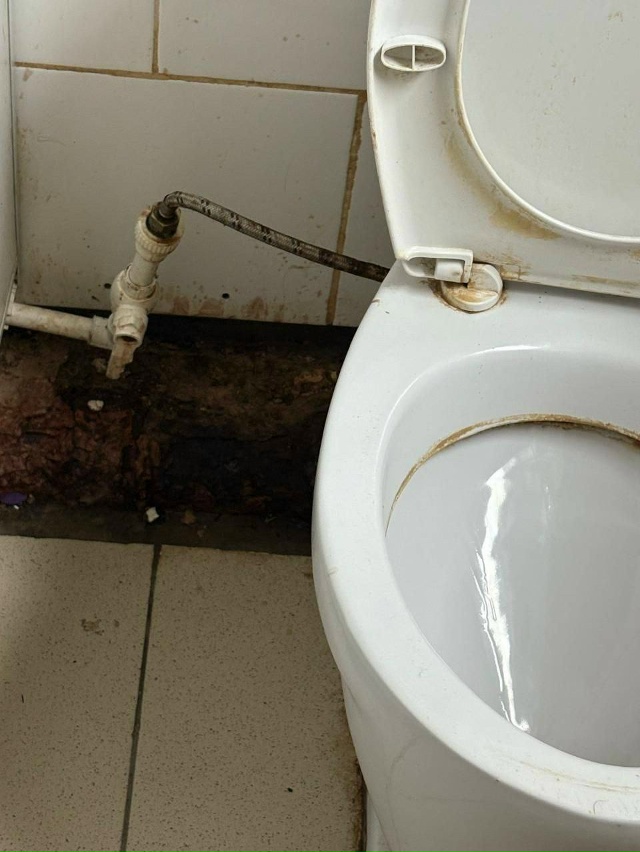 ‼️ Пишут: Дети 11 школы города Брянска не могут нормаль...