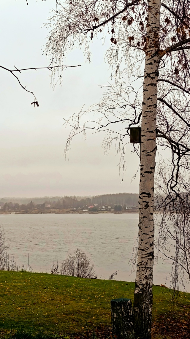 В пасмурной погоде свой кайф😊
Норское