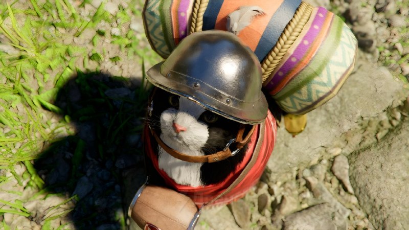 В новой экшен-адвенчуре с открытым миром Crimson Desert, которая вышла вчера, обнаружили топовую фич