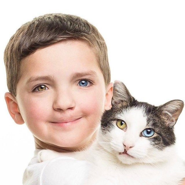 Это одна из тех историй, которые невозможно читать без ...