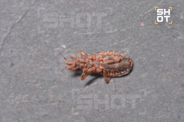 🫣 «Ласковый убийца» атаковал самарца в Таиланде
Как ?...