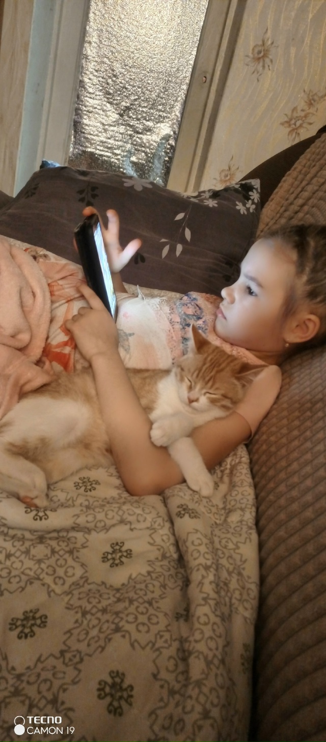 Здравствуйте народ! Пропал кот в районе рощи! Зовут Дже...