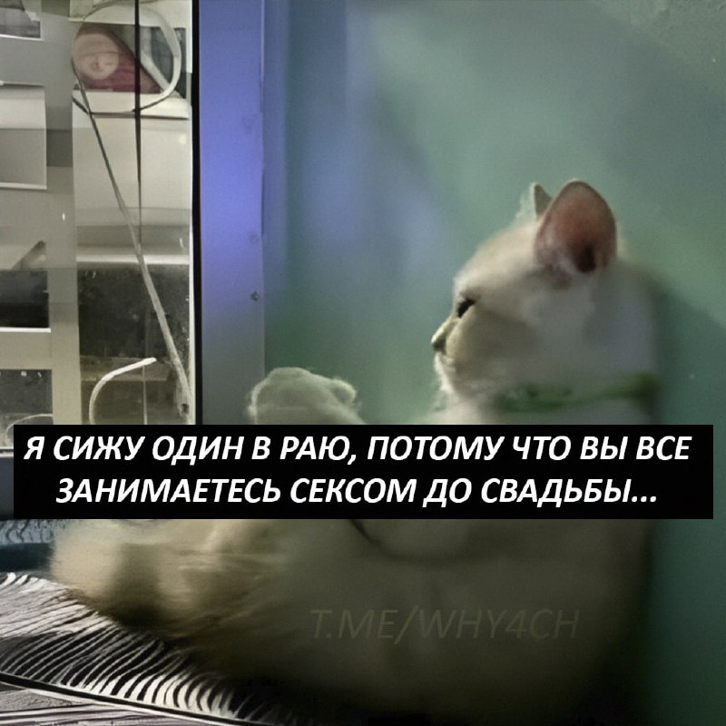 Утренняя подборочка