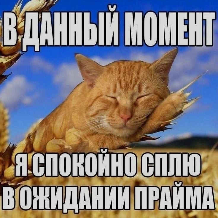 Ночная подборочка
Выходные, не спим