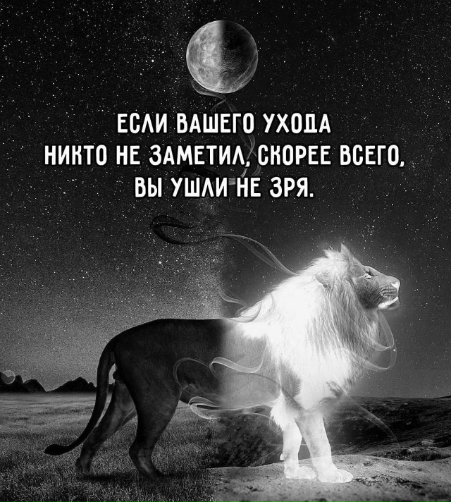 Больше возвращаться нет смысла