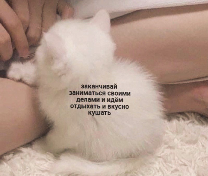 Перешли 😄